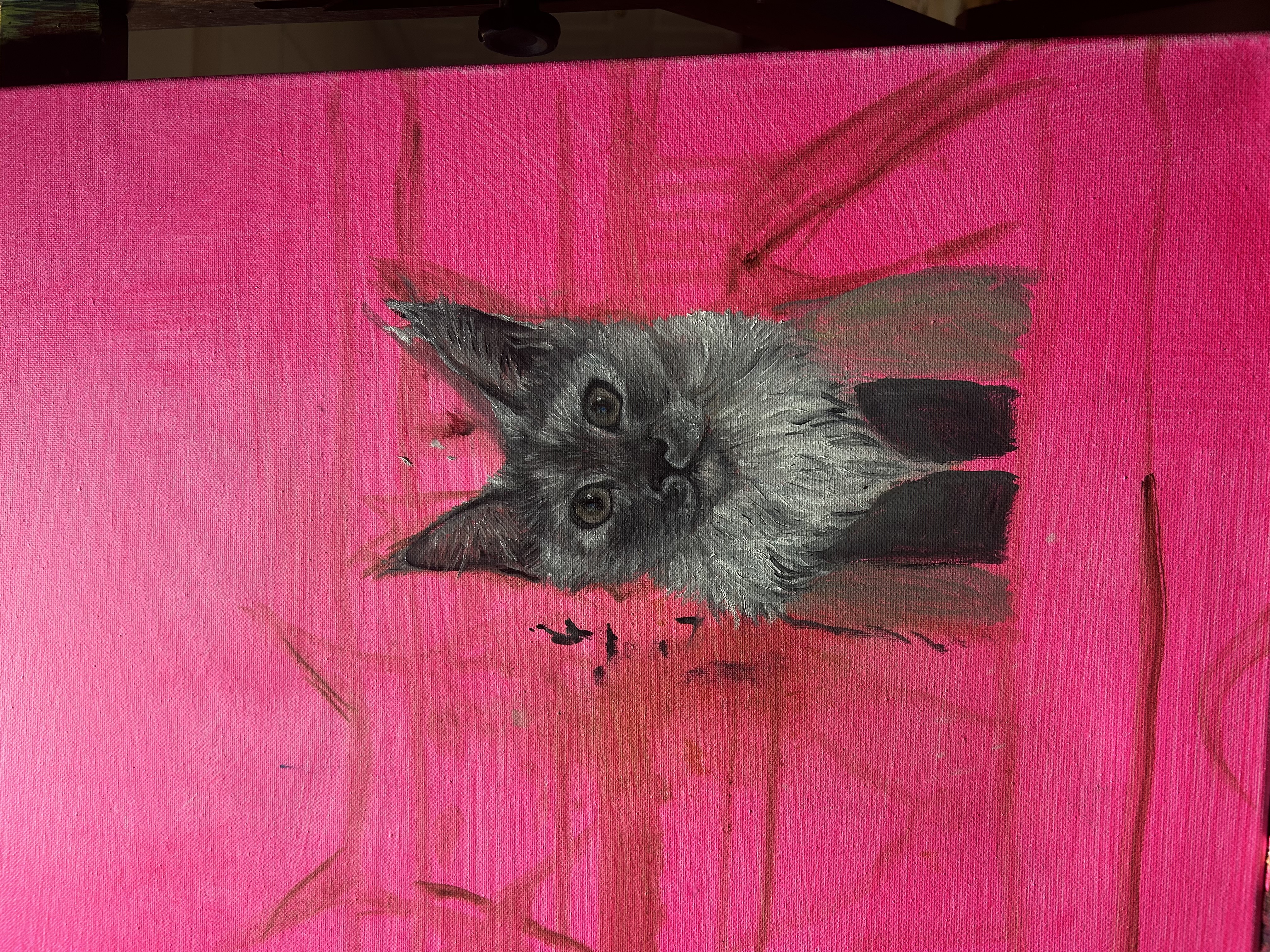 Early stage of cat painting